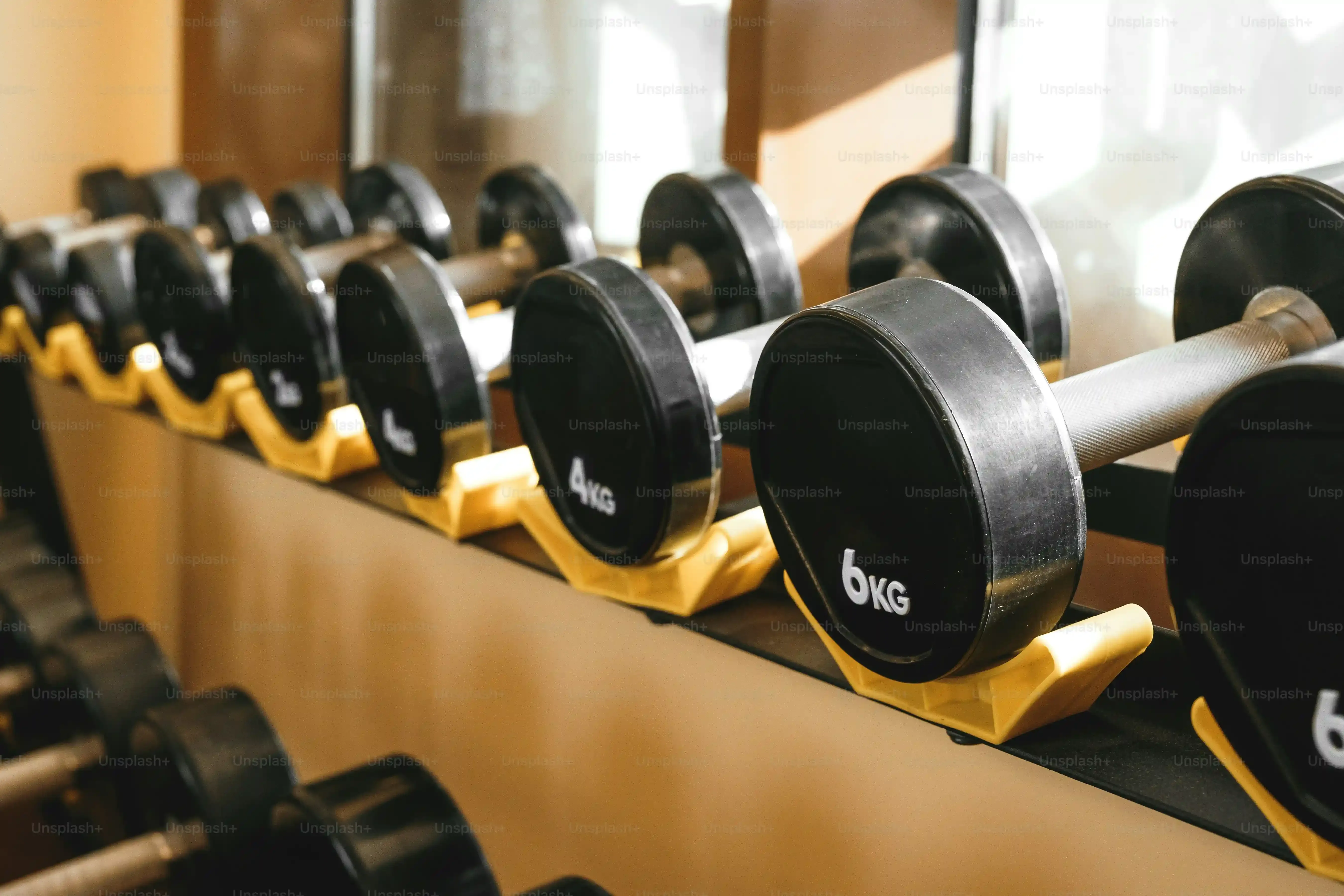 Audelà des machines : Qu'attendre d'une bonne gym 95 ?