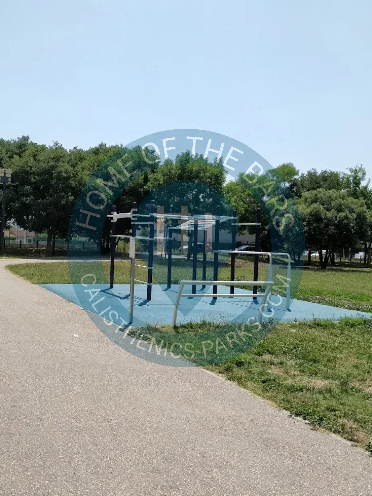 Audelà du parc : La communauté callisthenie à Toulouse.
