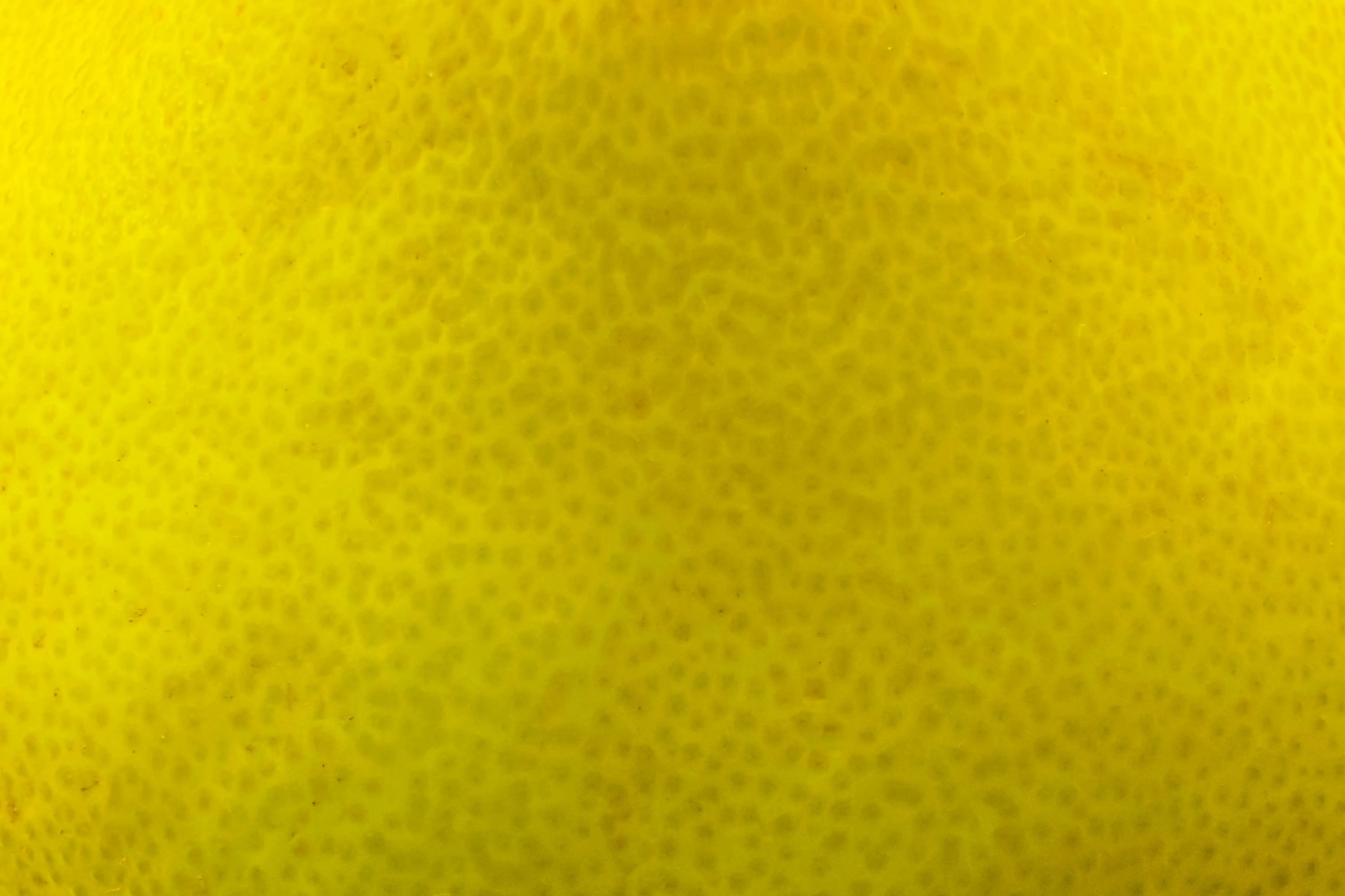 Audelà du Yellow Guy Calisthenics : Progresser et éviter les pièges