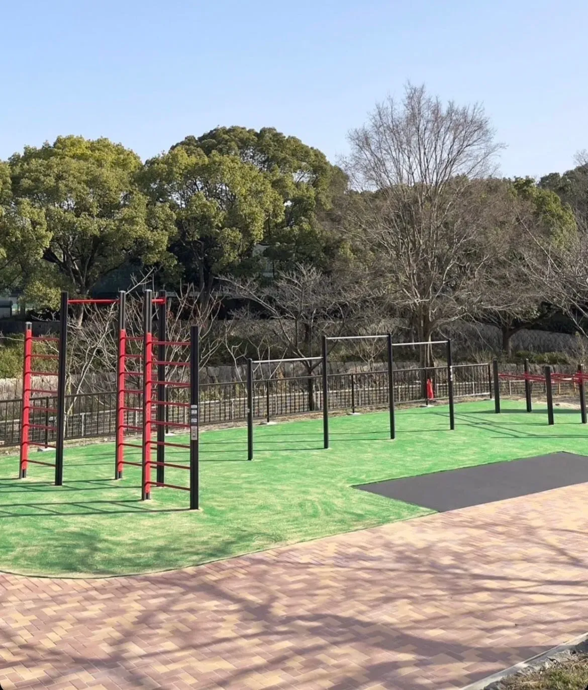 Calisthenics à Osaka : Équipement disponible et styles d'entraînement