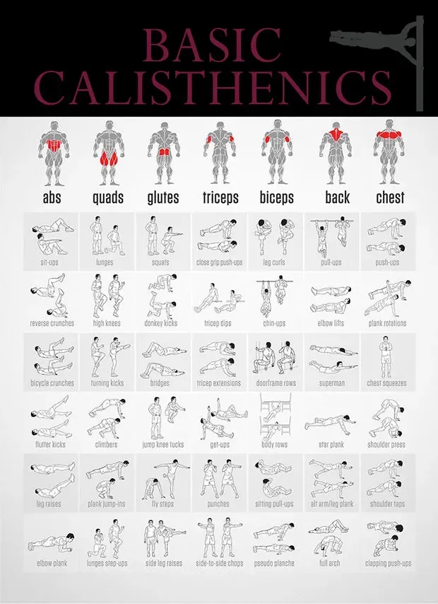 calisthenics guide : Guide ultime pour un corps fort