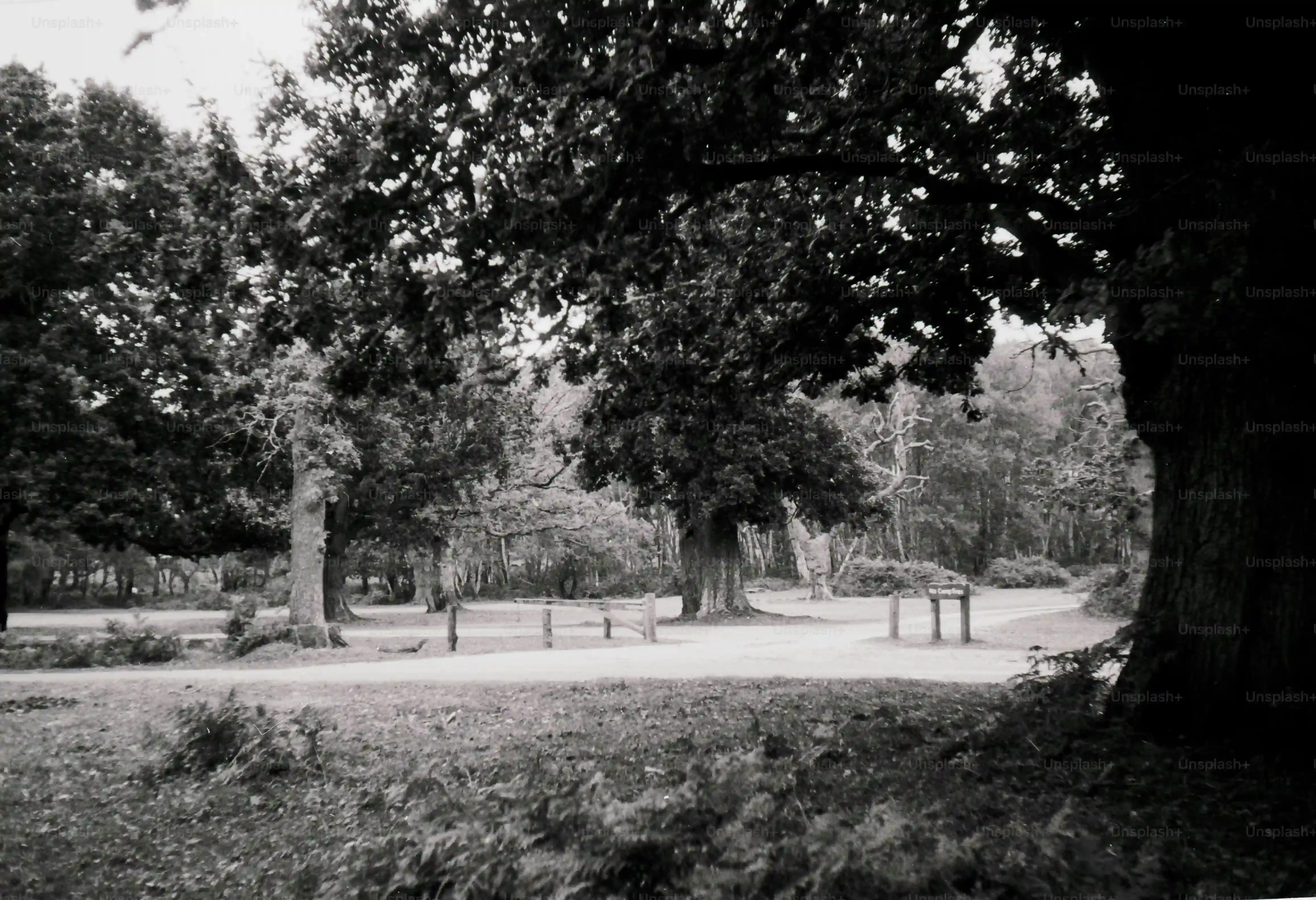 L'Essentiel calisthenics park : Trouvez le vôtre