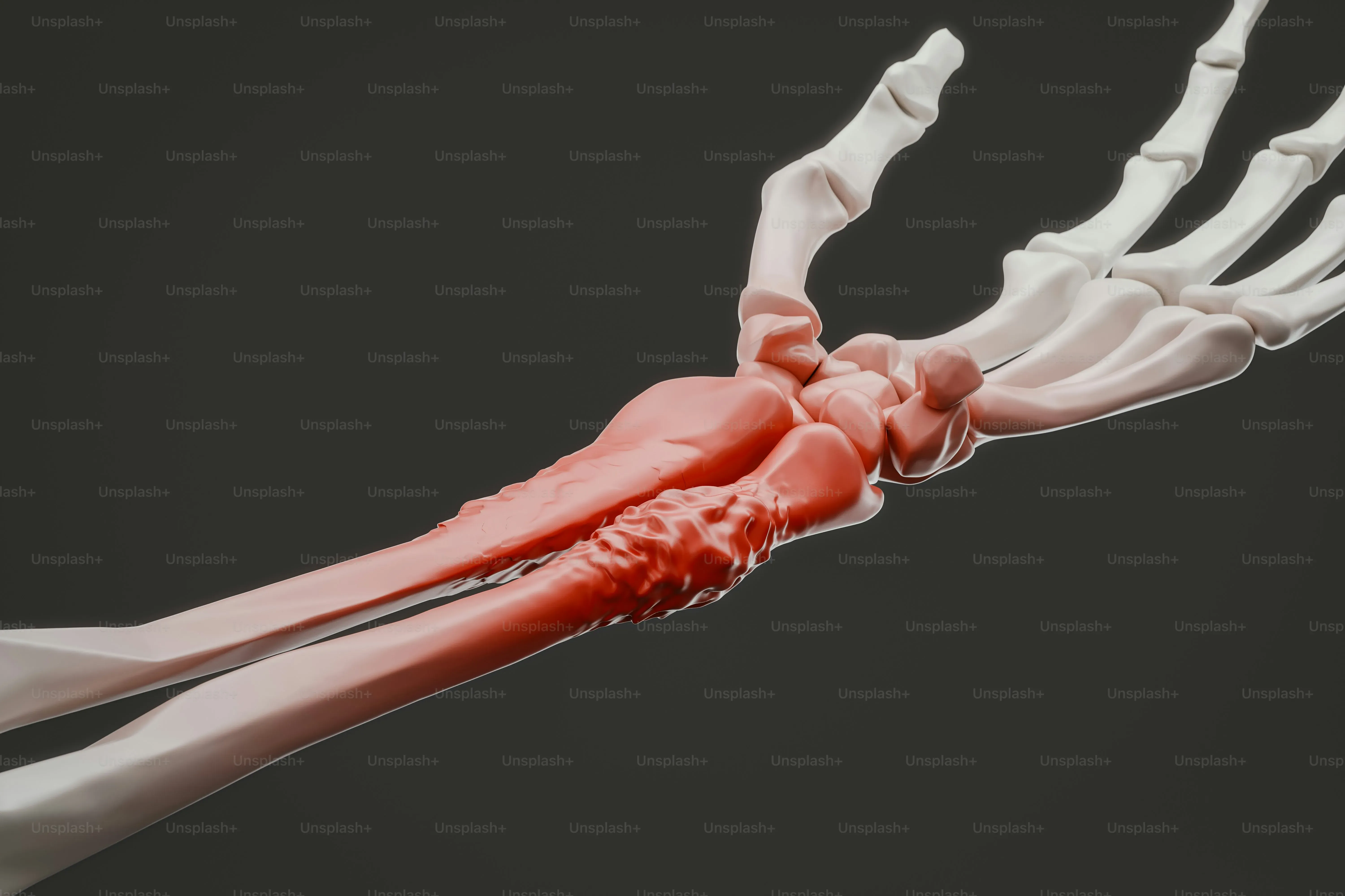 Choisir les bons élastiques pour la musculation callisthénie