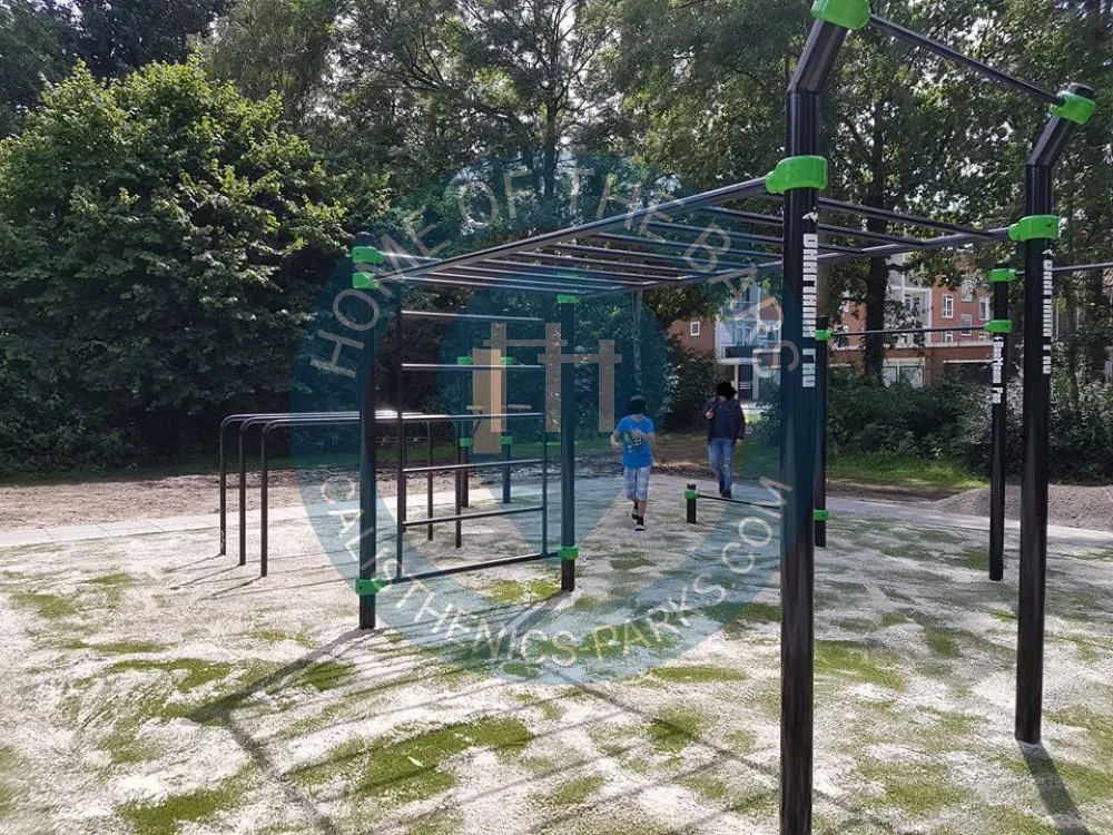 Commencer le Calisthenics à Zaandam : Options de Coaching et Groupes