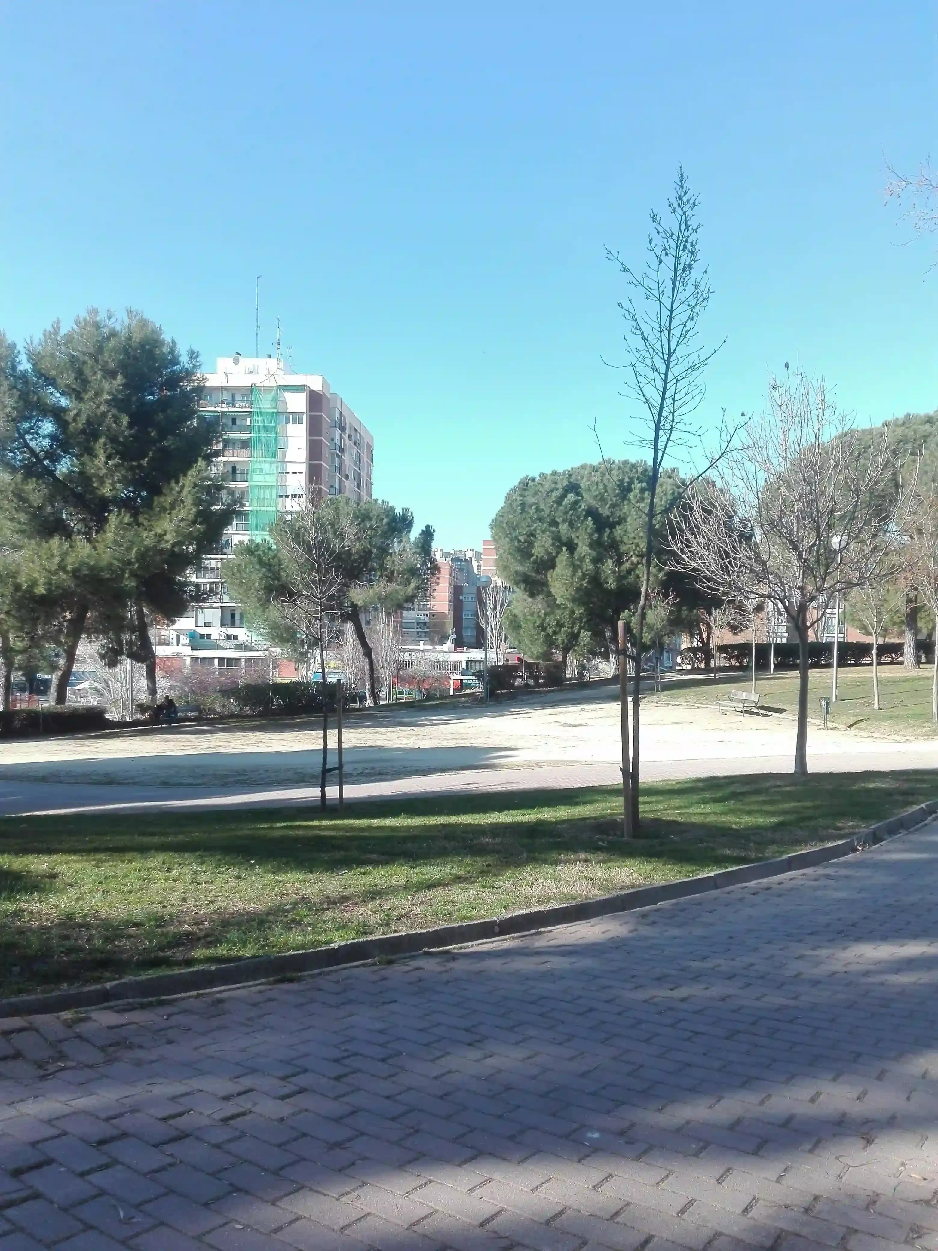 Conseils pour s'entraîner dans un Valencia Calisthenics Park