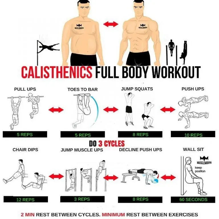 Exemples de circuits d'entraînement intense calisthenics