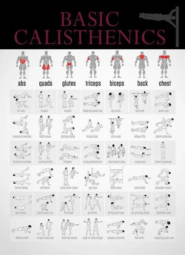 Intégrer les calisthenics övningar dans votre routine