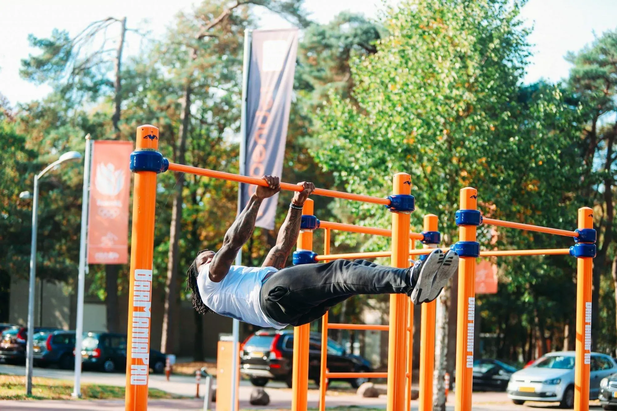 Le spot de calisthenics à Zuiderpark : Guide complet