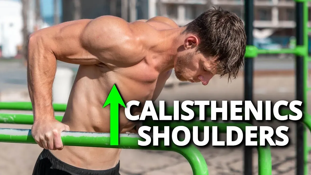 Les 3 Parties de l'Épaule à Cibler en Calisthenics Épaules