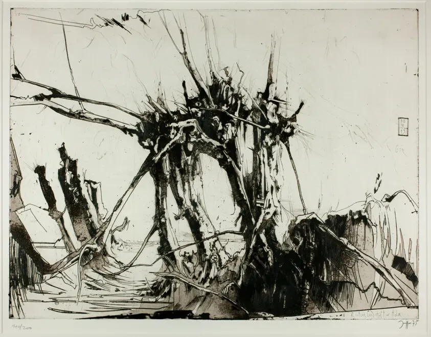 Les bases d'une routine mobilité callisthénie efficace