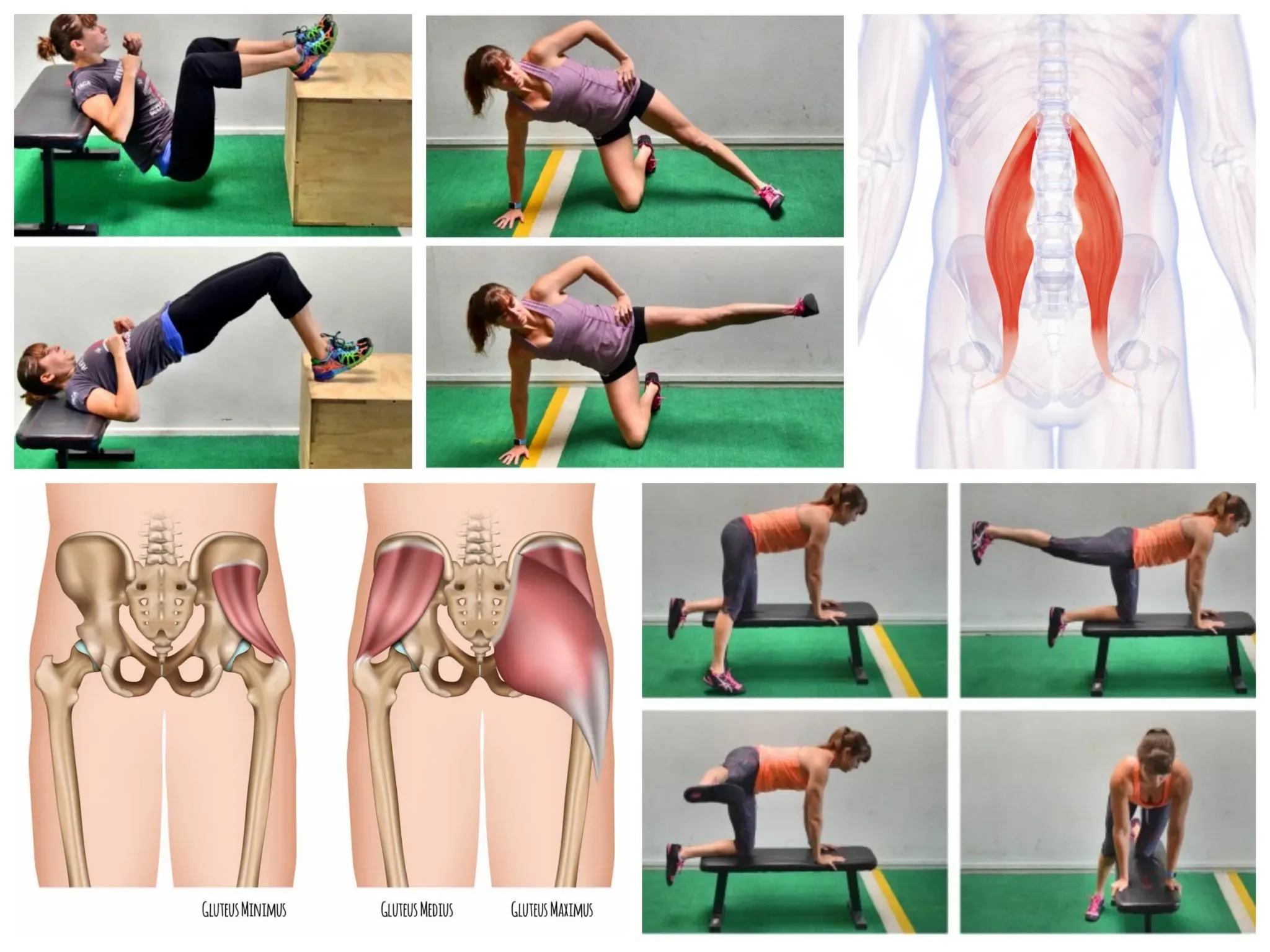 Les exercices fondamentaux de glutes calisthenics à maîtriser