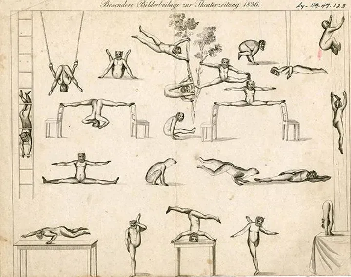 Les origines du mot : l'etymology calisthenics
