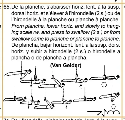 Les prérequis indispensables avant de tenter le Van Gelder Calisthenics