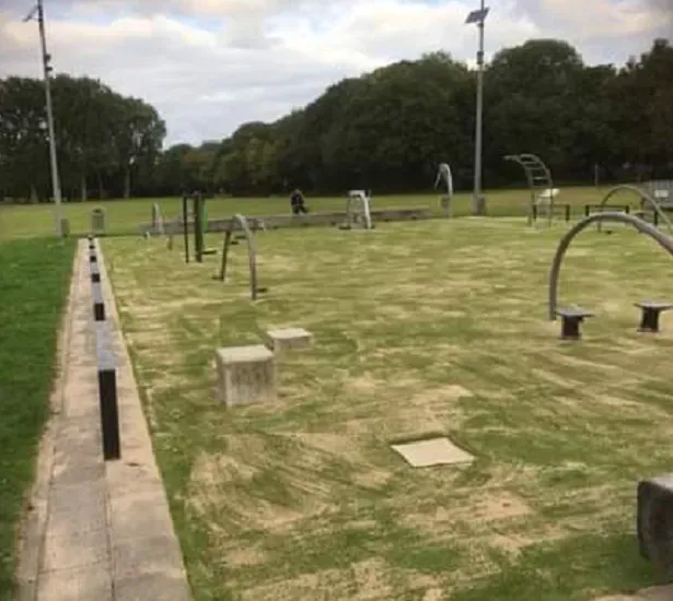 Optimiser votre séance de street workout aux PaysBas
