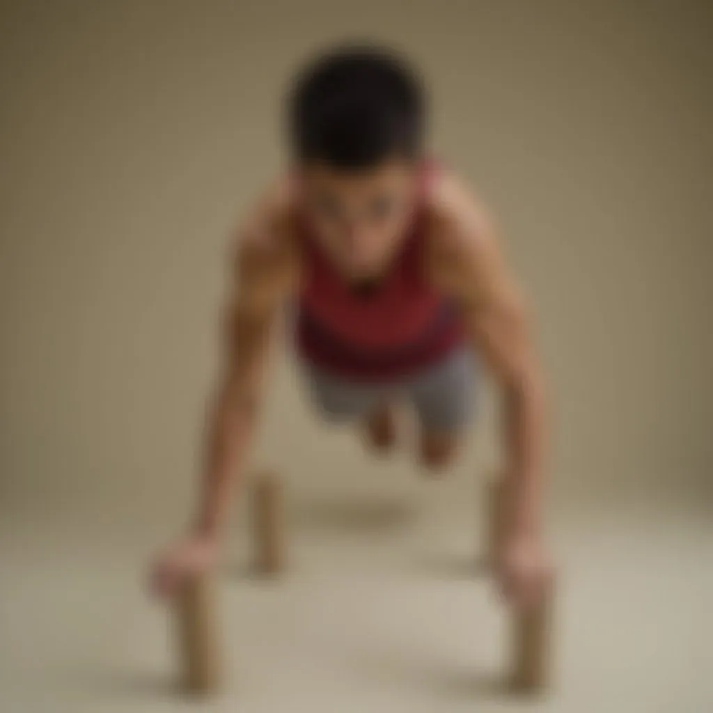 Parallettes Calisthenics 