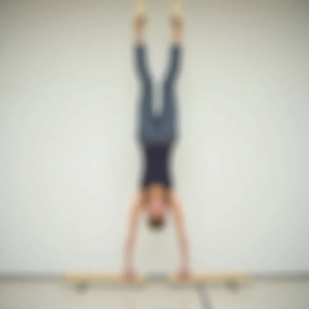 Parallettes Callisthénie