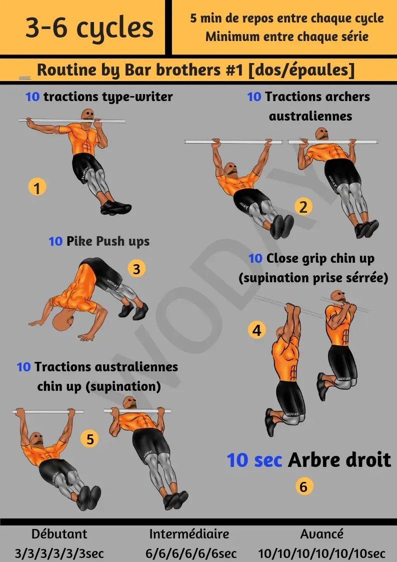 Pourquoi des Épaules Fortes en Calisthenics ?