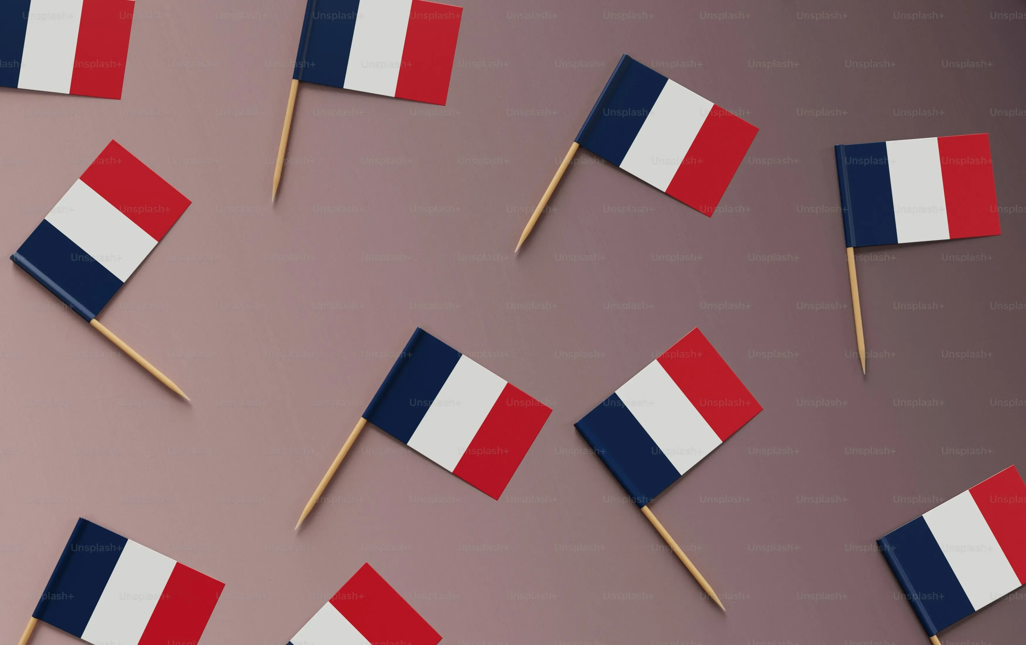 Pourquoi diton routine è una parola francese ?