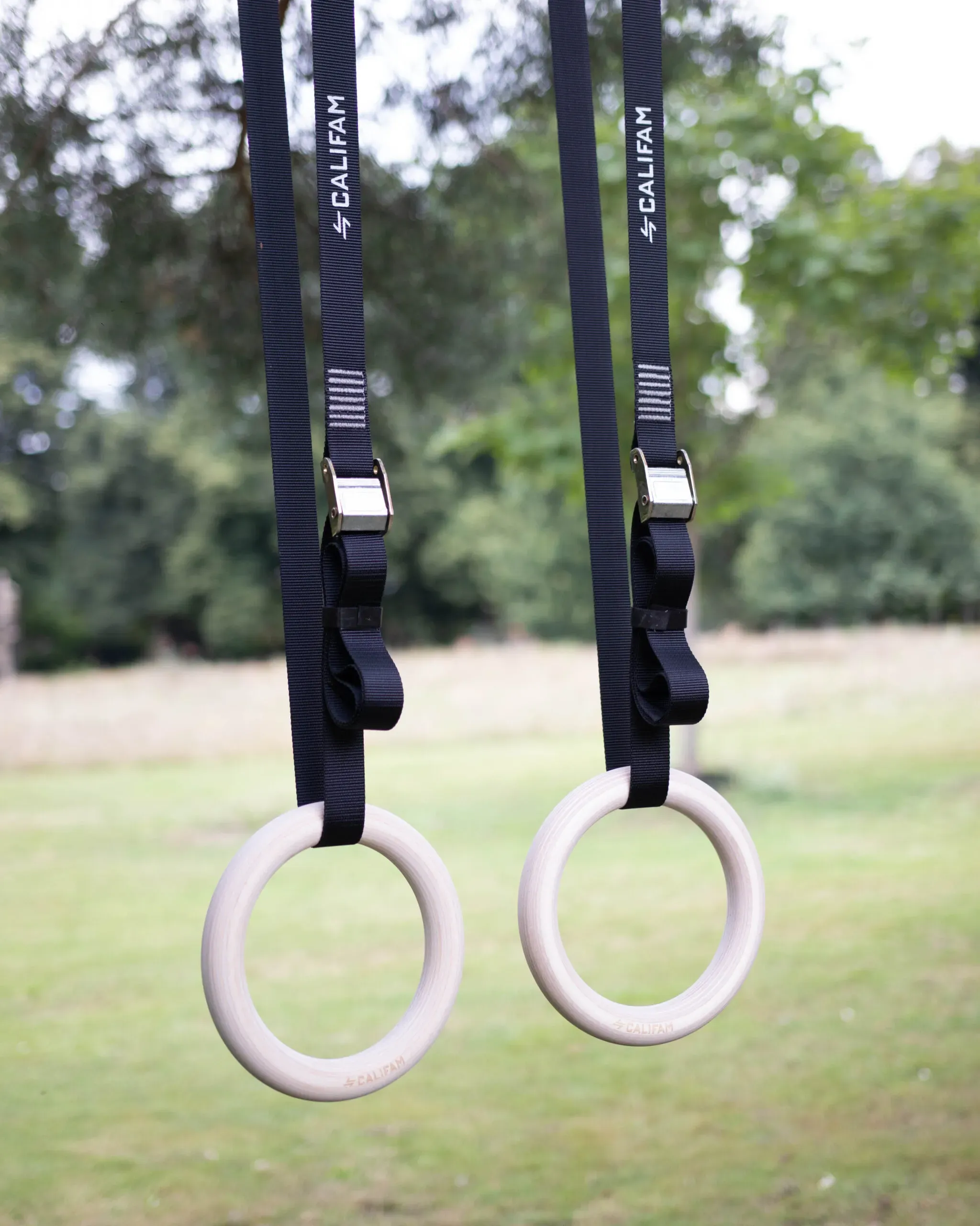 Pourquoi la ring calisthenics transforme votre force