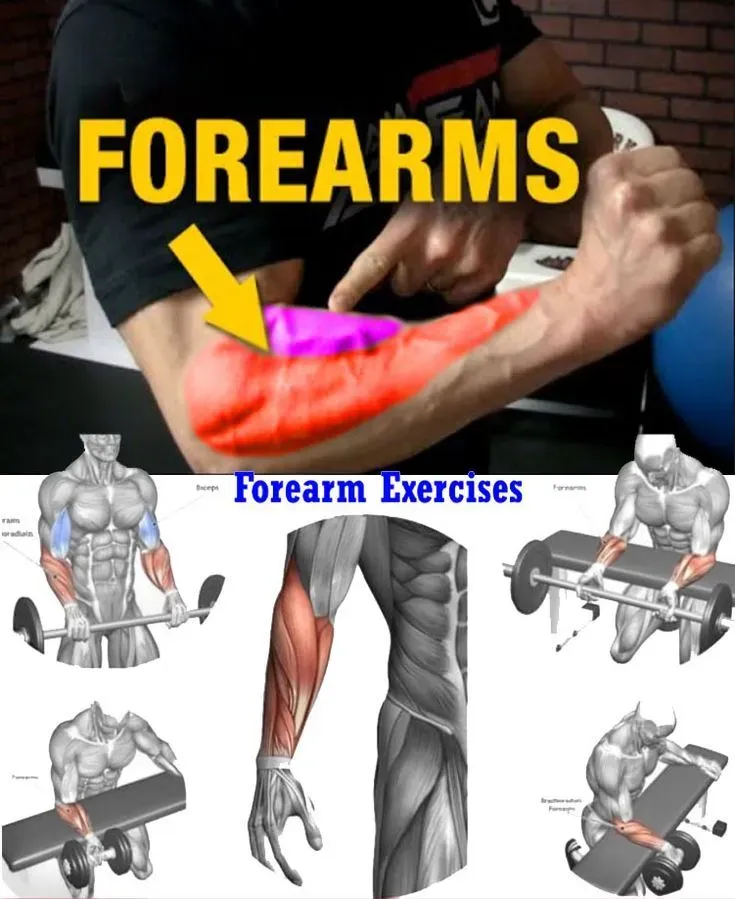 Pourquoi le calisthenics forearm est crucial ?