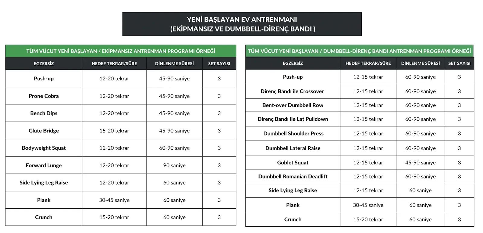 Pourquoi votre fitness çalışma programı est la base de vos progrès