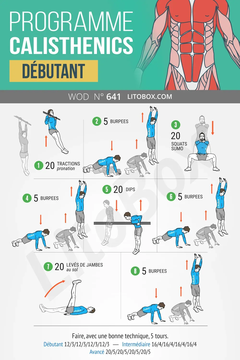 Quelle application calisthenics : Le guide ultime