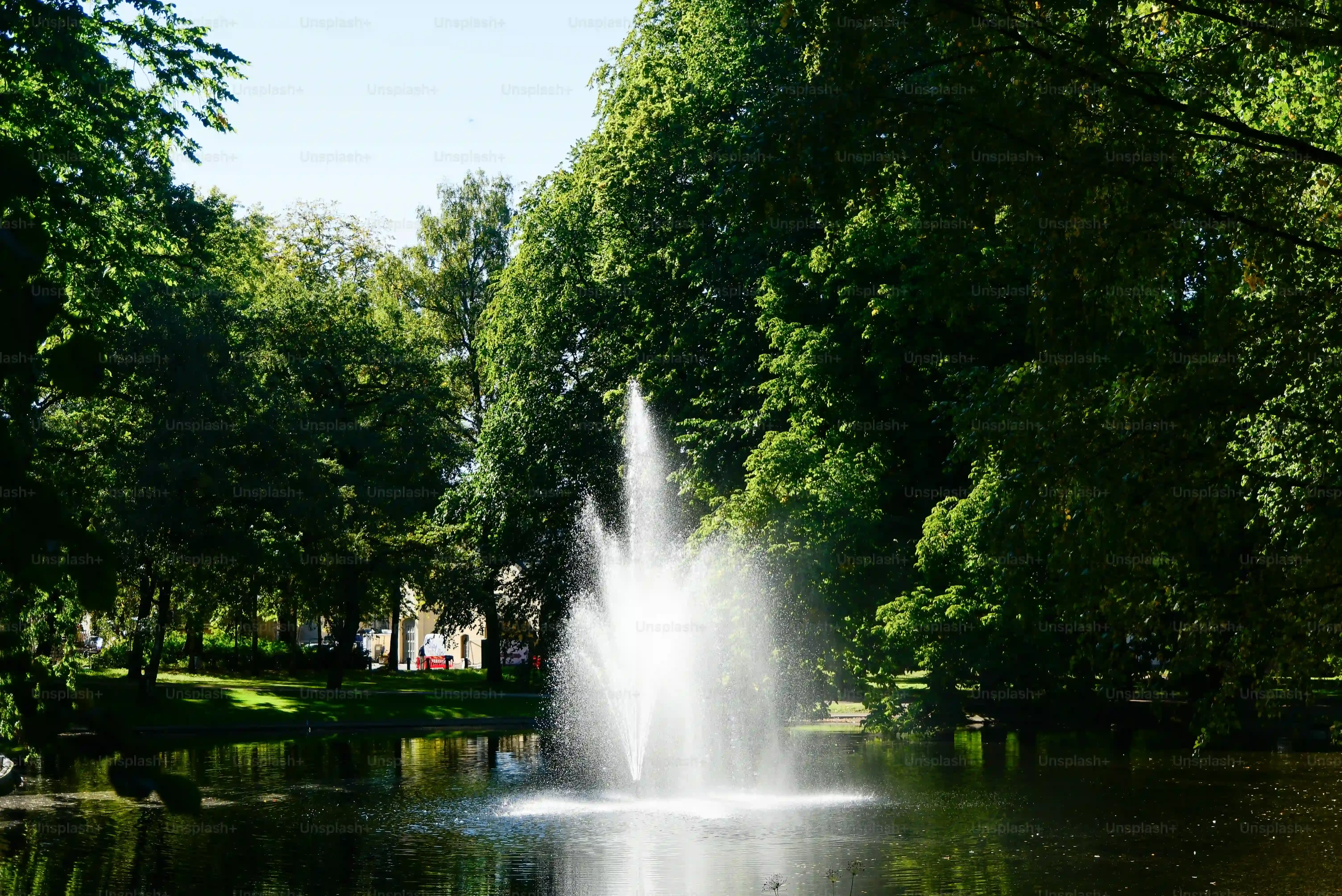 Quels équipements pour le calisthenics au Zuiderpark ?