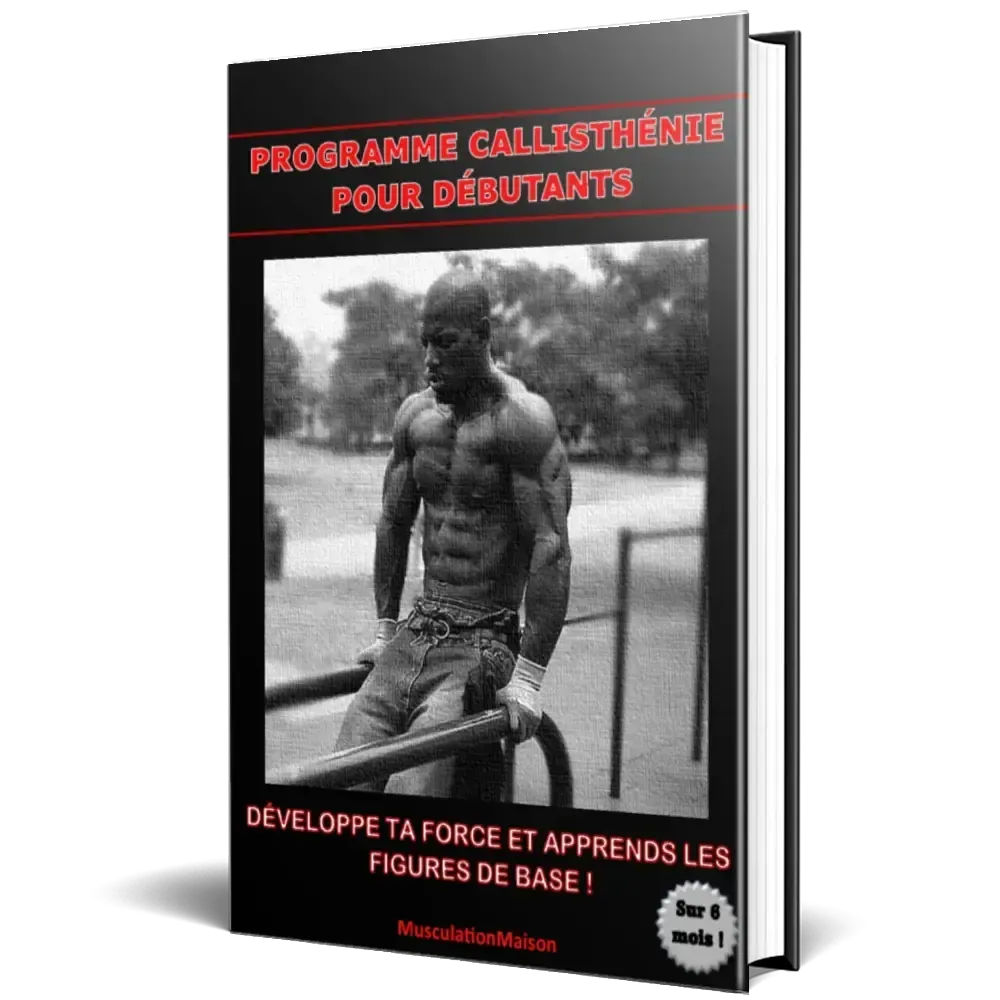 Qu'estce qu'un programme force pure callisthénie ?