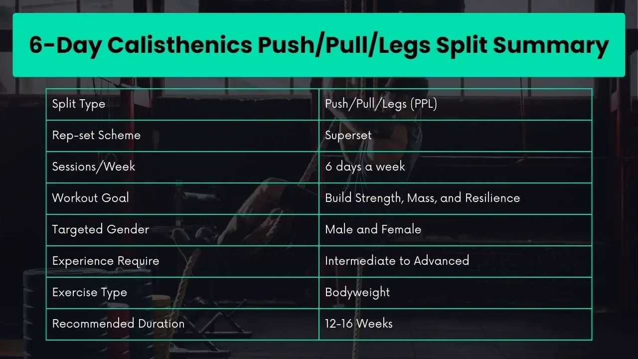 split push pull legs callisthénie : Guide simple et efficace