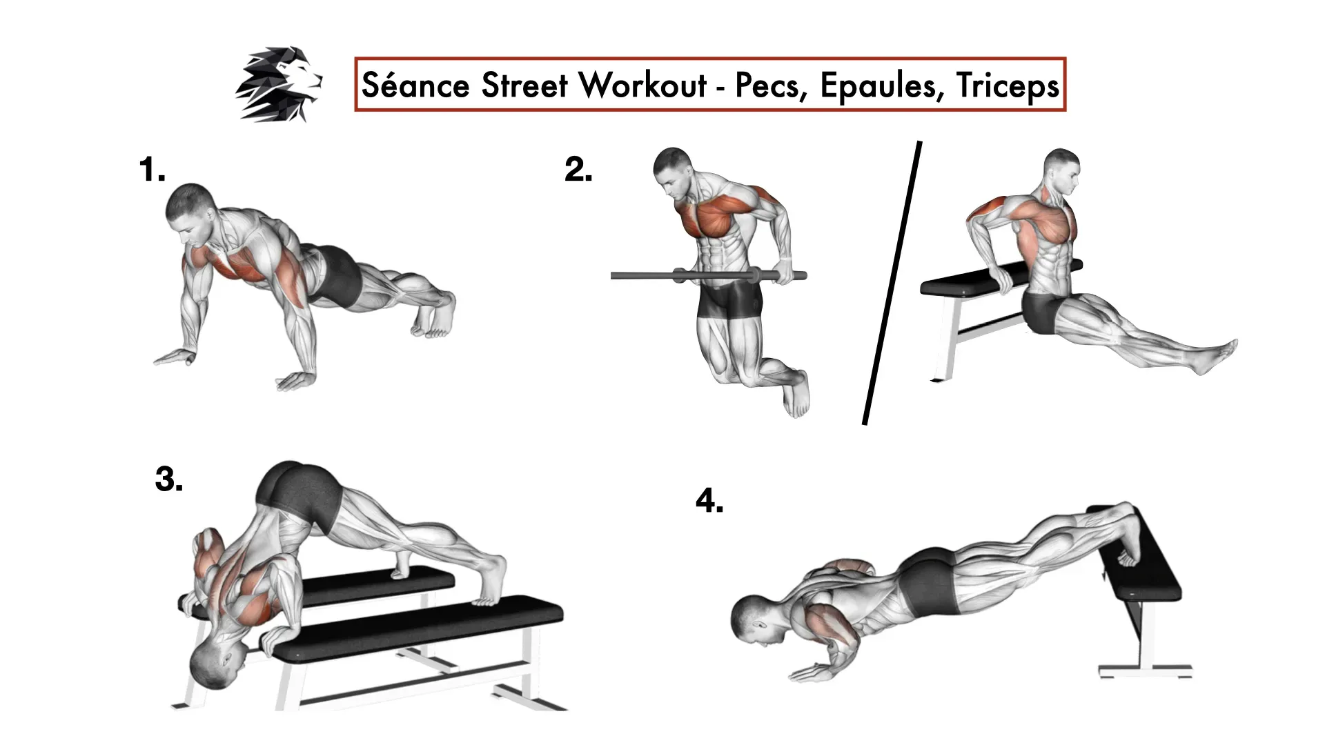 Technique et Progressions pour vos Épaules en Calisthenics