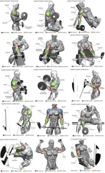 Technique : Réaliser vos exercices fitness avantbras sans risque