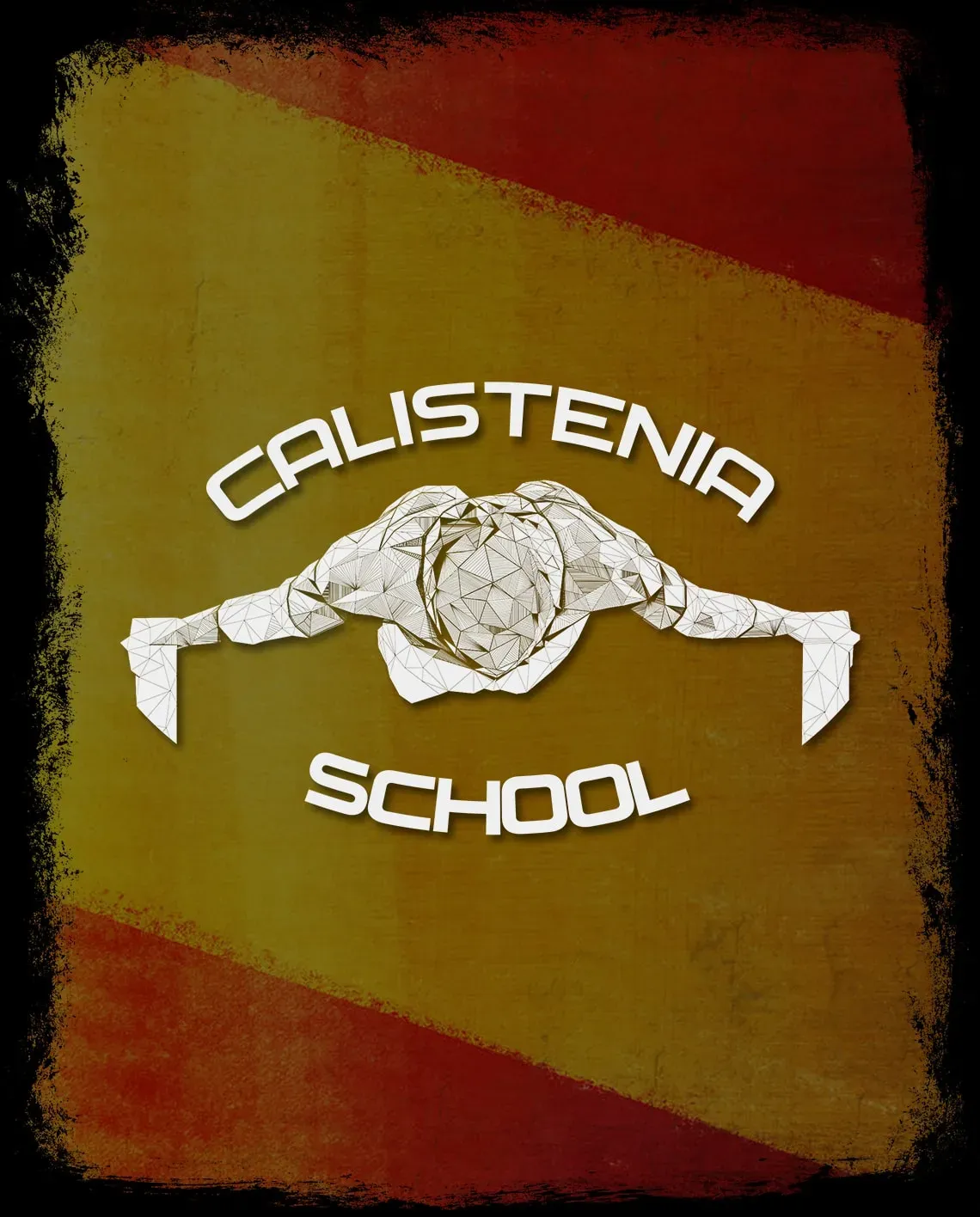 Trouver des Ressources sur la Calisthenics en Espagnol