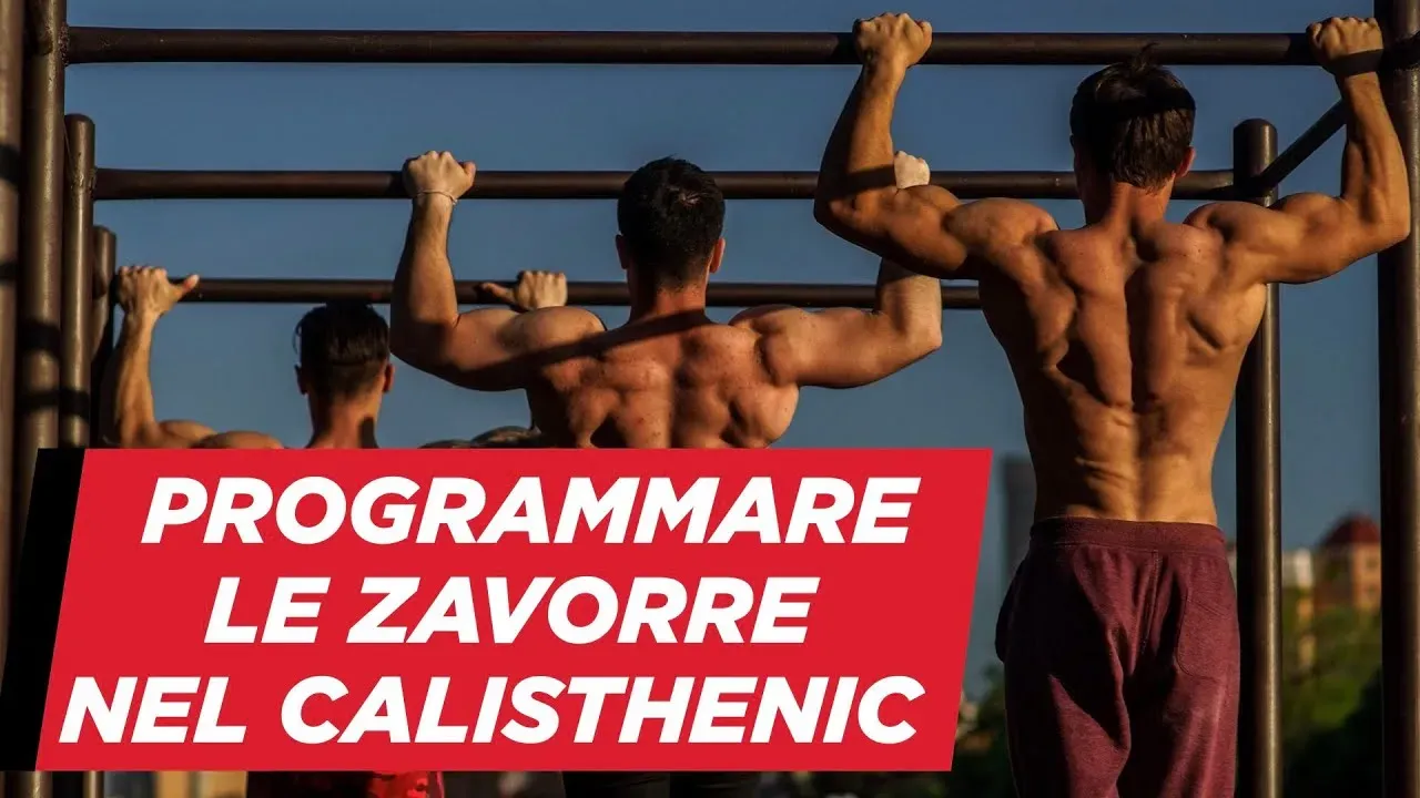 Découvrez la zavorre calisthenics pour des gains puissants