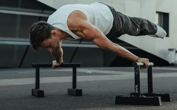Zenith calisthenics : Votre guide essentiel vers l'élite